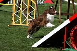 AGILITY - SAUT 028